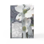  Dogwood cards