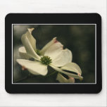 Dogwood Flower Mousepad! (with border)