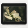 Dogwood Flower Mousepad! (with border)