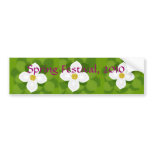 Dogwood Flower on green background bumper stickers