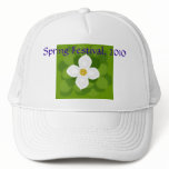 Dogwood Flower on green background