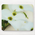 Dogwood Flowers Mousepad
