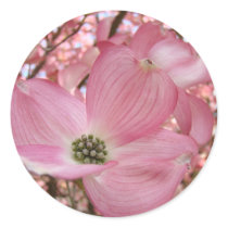 DOGWOOD FLOWERS Pink 1 Cards Art Gifts Mugs