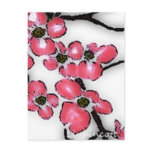 dogwood postcards