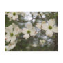 dogwood postcard