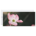 dogwood rack cards