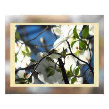 Dogwood Skies #3 Photo