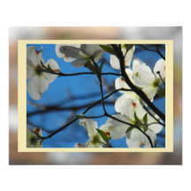 Dogwood Skies #5 Photograph