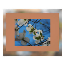 Dogwood Skies Choco #2 Photographic Print