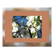 Dogwood Skies Choco #3 Photographic Print