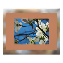 Dogwood Skies Choco #5 Photograph