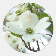 Dogwood Tree Flower Stickers