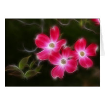 Dogwood Trio Greeting Cards