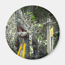 Doi Suthep Dragons Fridge Magnets