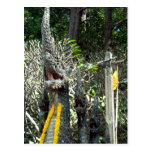 Doi Suthep Dragons Postcard