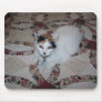 Doll the Cat, Mousepad