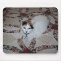 Doll the Cat, Mousepad