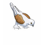 Dolly Dove t-shirts