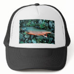 Dolly Varden Char hats