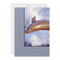 Dolphin