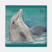 Dolphin aceo Magnet
