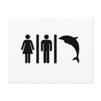 Dolphin Bathroom Post Card