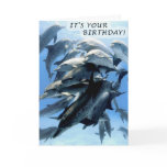 Dolphin birthday party cards