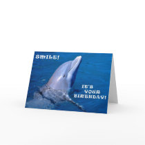 Dolphin birthday smile cards