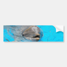 Dolphin Bumper Sticker
