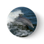 Dolphin buttons