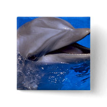 Dolphin Pinback Button