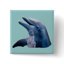 Dolphin Pinback Buttons