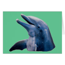 Dolphin Greeting Cards