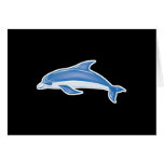 dolphin cards
