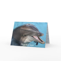 dolphin, card