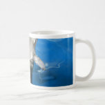 Dolphin Coffee Mugs