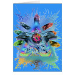 dolphin crystalline consciouness cards