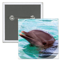 Dolphin Design Square Pin