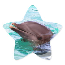 Dolphin Design Stickers