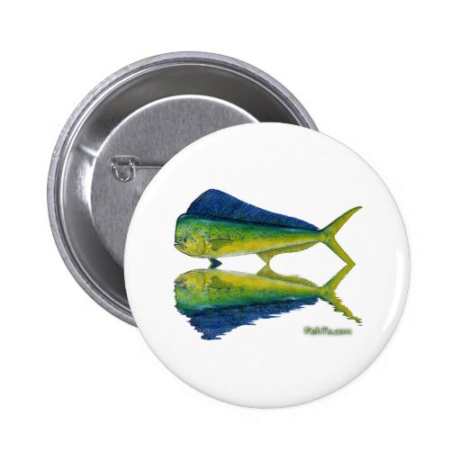Dolphin,Dorado,MahiMahi with reflection Pinback Buttons
