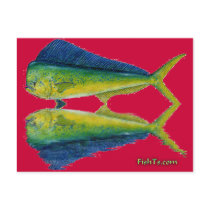 Dolphin,Dorado,MahiMahi with reflection