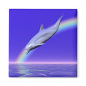 Dolphin Download magnets
