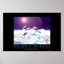 Dolphin Dreams posters