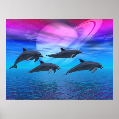 Dolphin Dreams Poster by trippyguy420