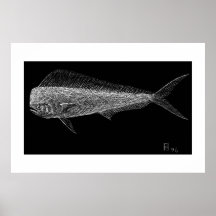 Dolphin fish posters