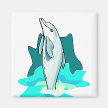 Dolphin Fun Fridge Magnets