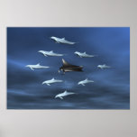 Dolphin Guard Posters