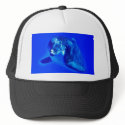 Dolphin hats