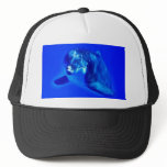 Dolphin hats