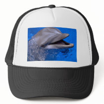 Dolphin Hats